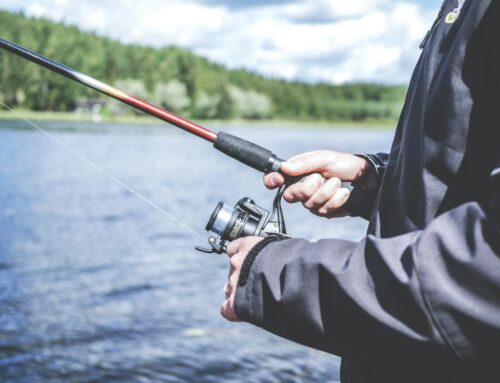 The Ultimate Guide to Pond Fishing: Techniques, Tips, and Gear for Success